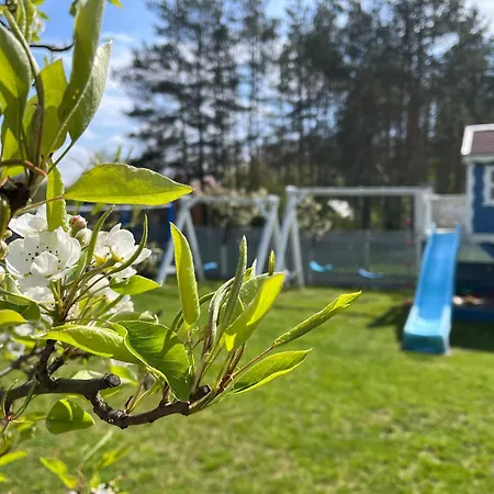 Caloroczny Wczasy Marzenie Orman Evi *